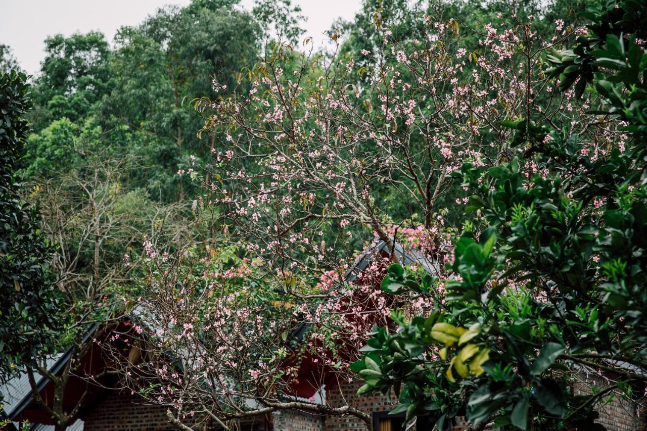 Cat Ba Spring Garden Homestay Hien Hao 外观 照片